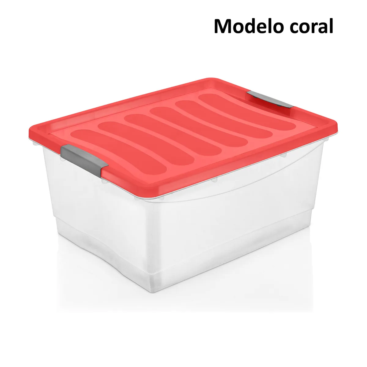 Organizador Carrefour 10 lts (Modelos Surtidos)