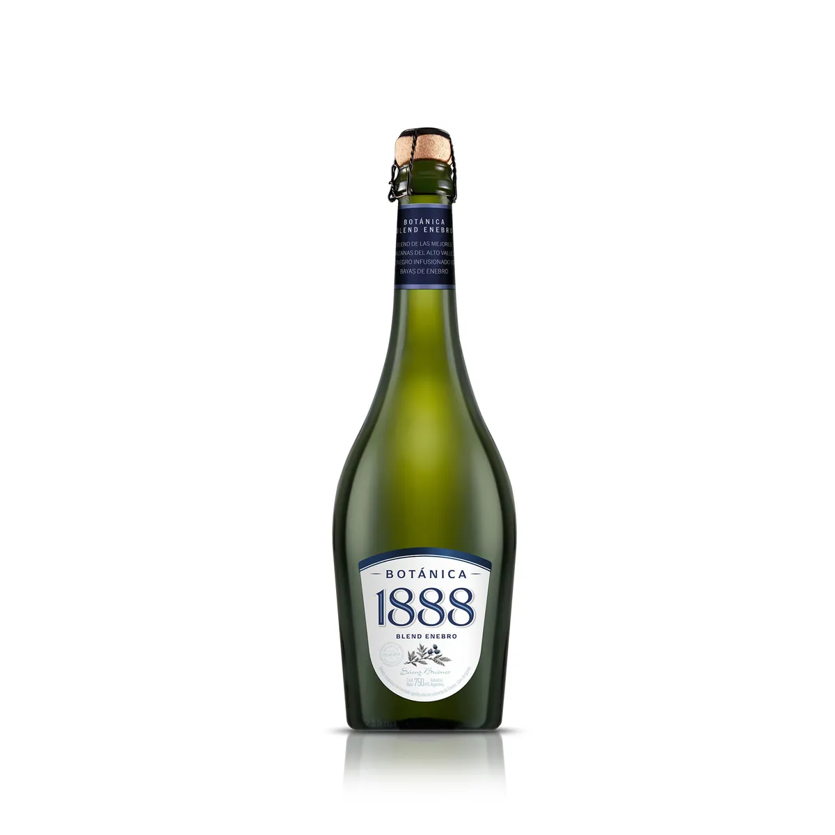 Sidra Botánica 1888 en botella 750 ml